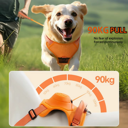 Retractable Dog Leash With No-Pull Harness