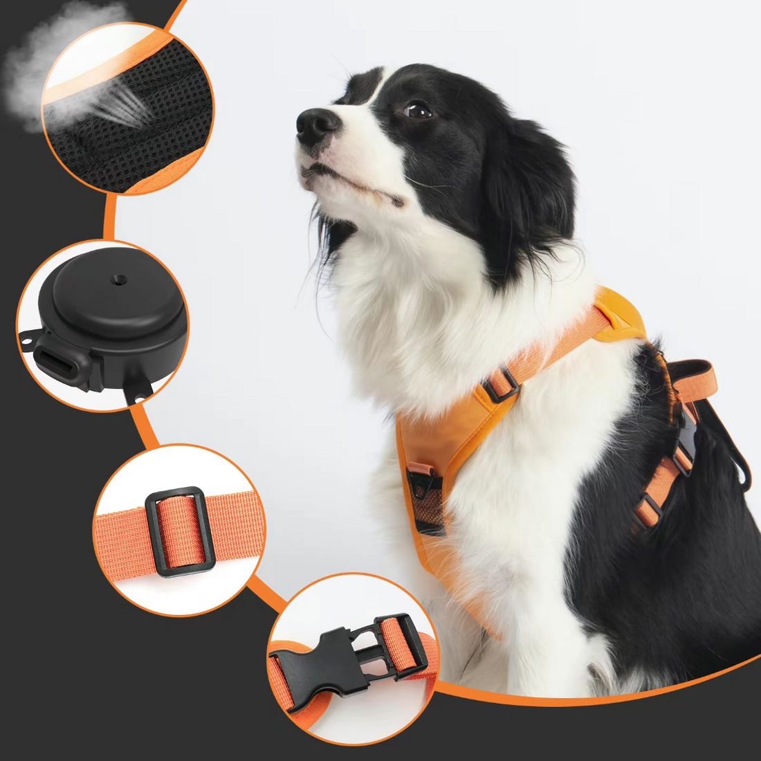 Retractable Dog Leash With No-Pull Harness