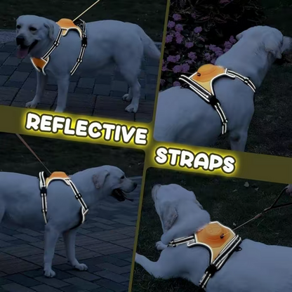 Retractable Dog Leash With No-Pull Harness