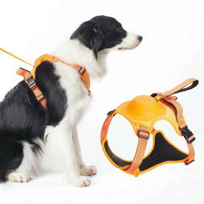 Retractable Dog Leash With No-Pull Harness