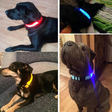 LED Night Safety Glow Collar