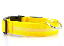 LED Night Safety Glow Collar