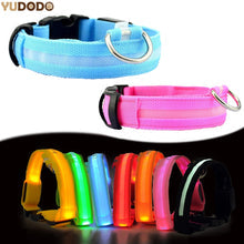 LED Night Safety Glow Collar